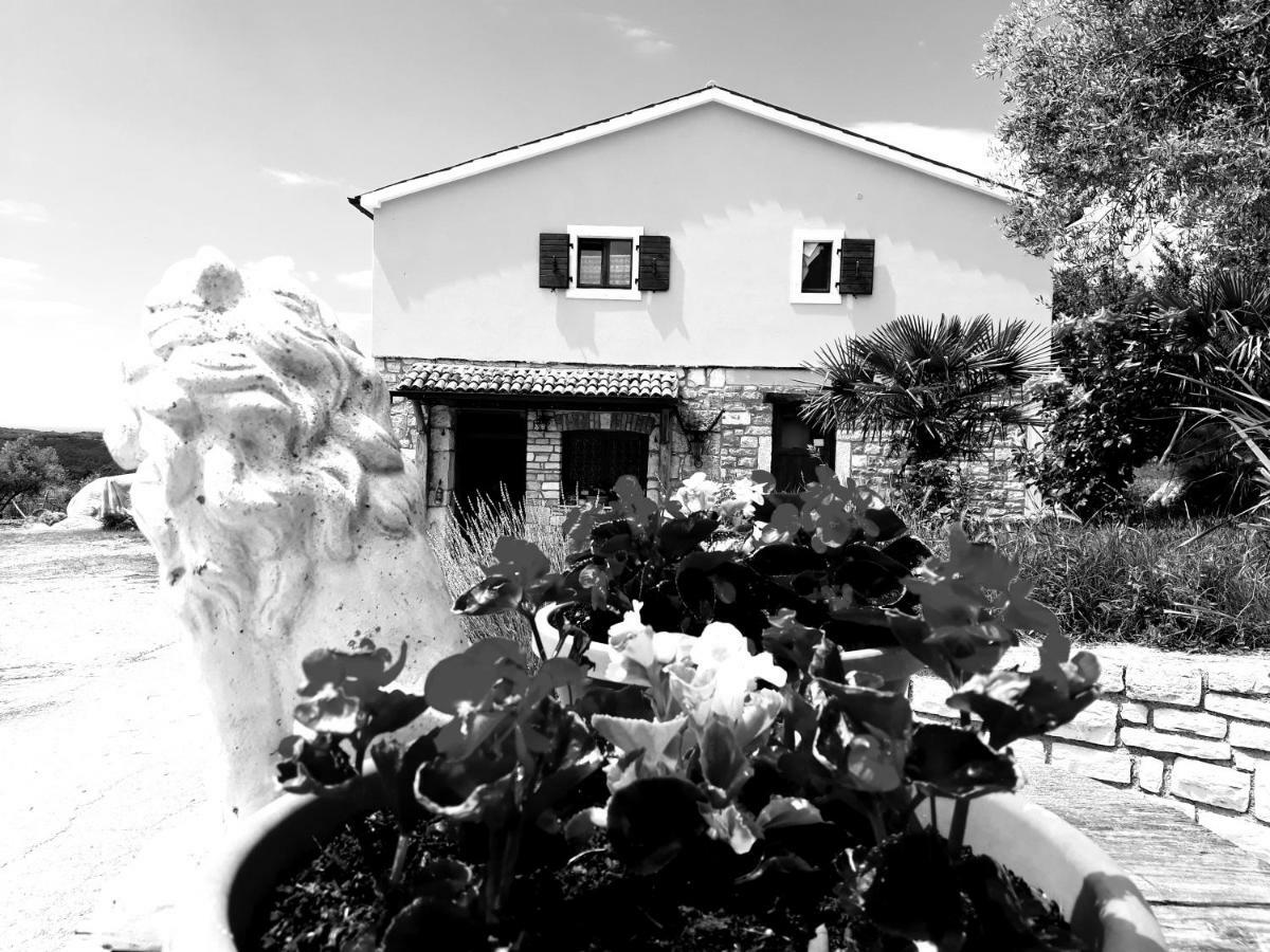 Rooms Agroturizam Romano Buje Bagian luar foto